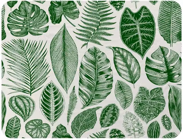 Benjamin Tate Design Floral Leaves Mixed Fleece Blanket in Green and Beige, W/D/H: 120 x 150 cm – 2