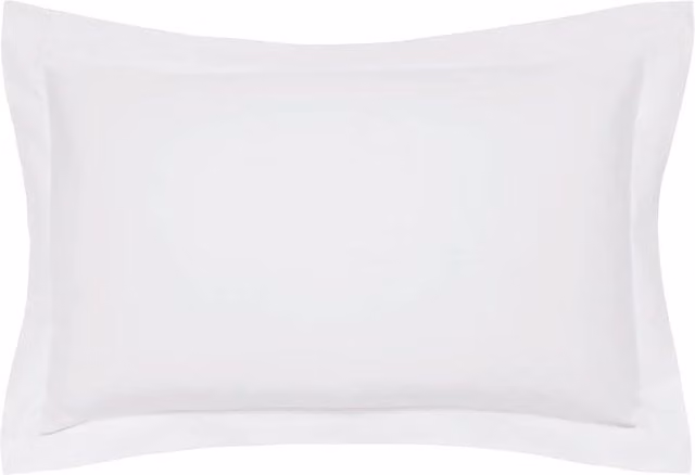 Bedeck of Belfast Egyptian Cotton 1000 Thread Count Mako Satin Pillowcase in Silver