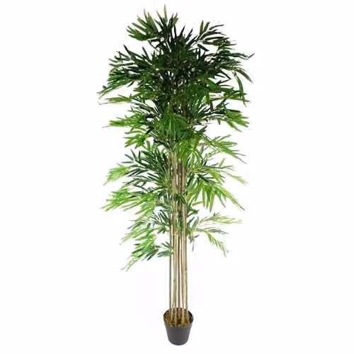 Botanik Premium Artificial Bamboo Tree in Green and Black, Height: 180 cm – 1