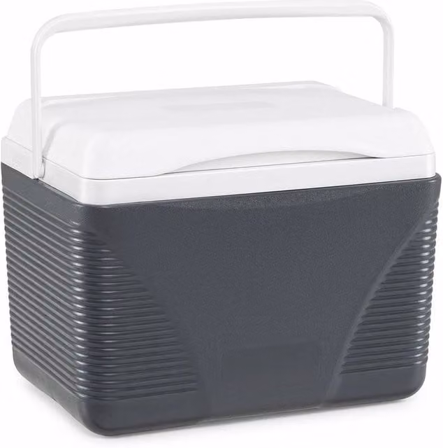 KORVIXA 21 L Insulated Portable Hard Shell Cooler in Dark Grey