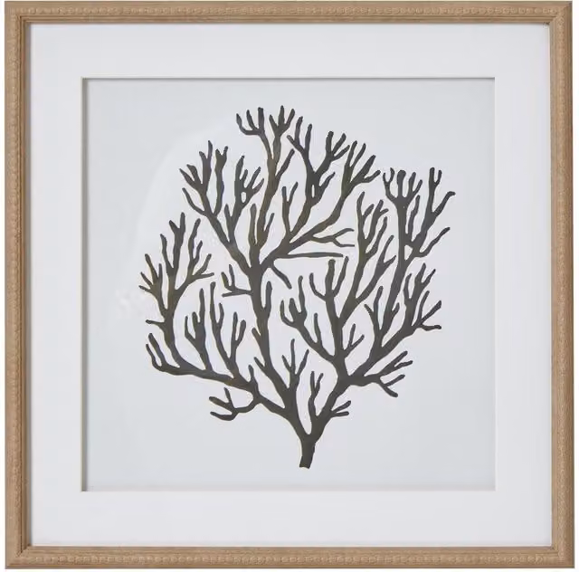 Hill Interiors Atol Coral Framed Art Print in Multicolour and Dark Brown