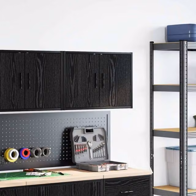 Berkfield Home Black Wall Mounted Garage Cabinet with Hinged Doors and Internal Shelves, W/D/H: 60 x 41 x 30 cm – 1