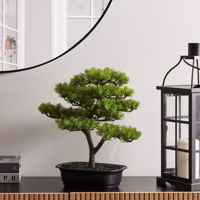 Wyld and Coco Artificial Oriental Bonsai Tree in a Black Concrete Pot, Green, Height: 37 cm