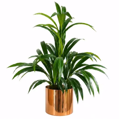 Leaf Artificial Green Bamboo Plant in a Bronze Metal Planter, Height: 65 cm