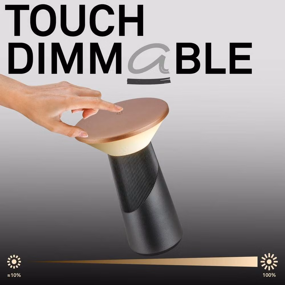 Briloner Pilia Rechargeable LED Table Lamp, Dimmable Touch Control, IP44 Rated, Anthracite Bronze Metallic, H 24 cm x W 15 cm x D 15 cm – 7