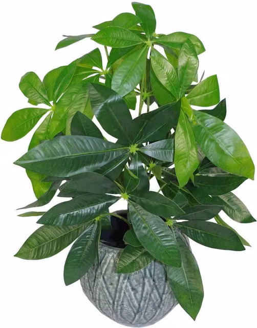 Artificial Money Tree Jade Plant with Green Evergreen Leaves, Tabletop Potted Plastic Plant, H 12.5 x W 12.5 x D 11.0 cm