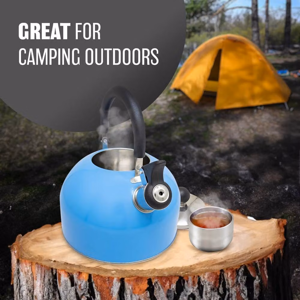BARGAINS-GALORE 2.5l Stainless Steel Whistling Kettle in Blue and Light Blue – 5