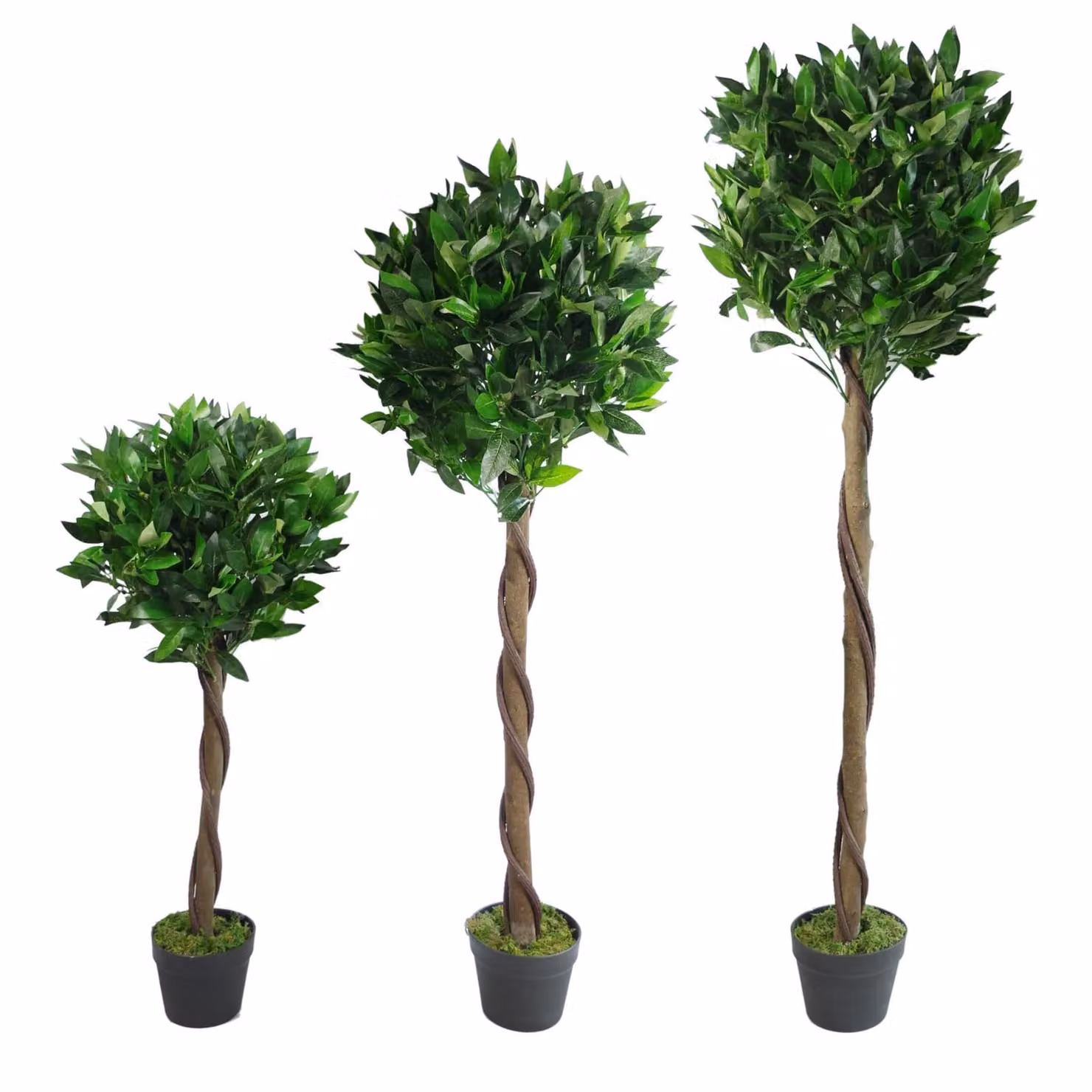 Leaf Pair of Green Artificial Bay Laurel Ball Topiary Trees with Twisted Stems, Height: 120 cm – 3