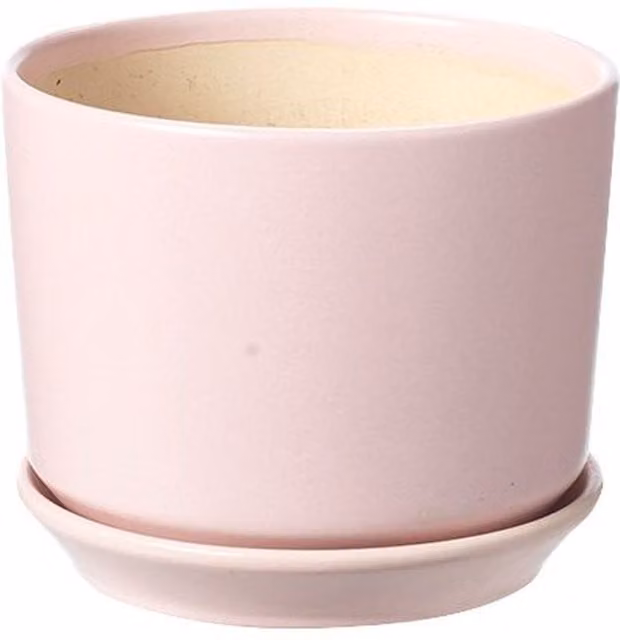 Kingsbury Gifts Pink Ceramic Indoor Tabletop Pot with Built-in Saucer, Diameter: 17.5 cm