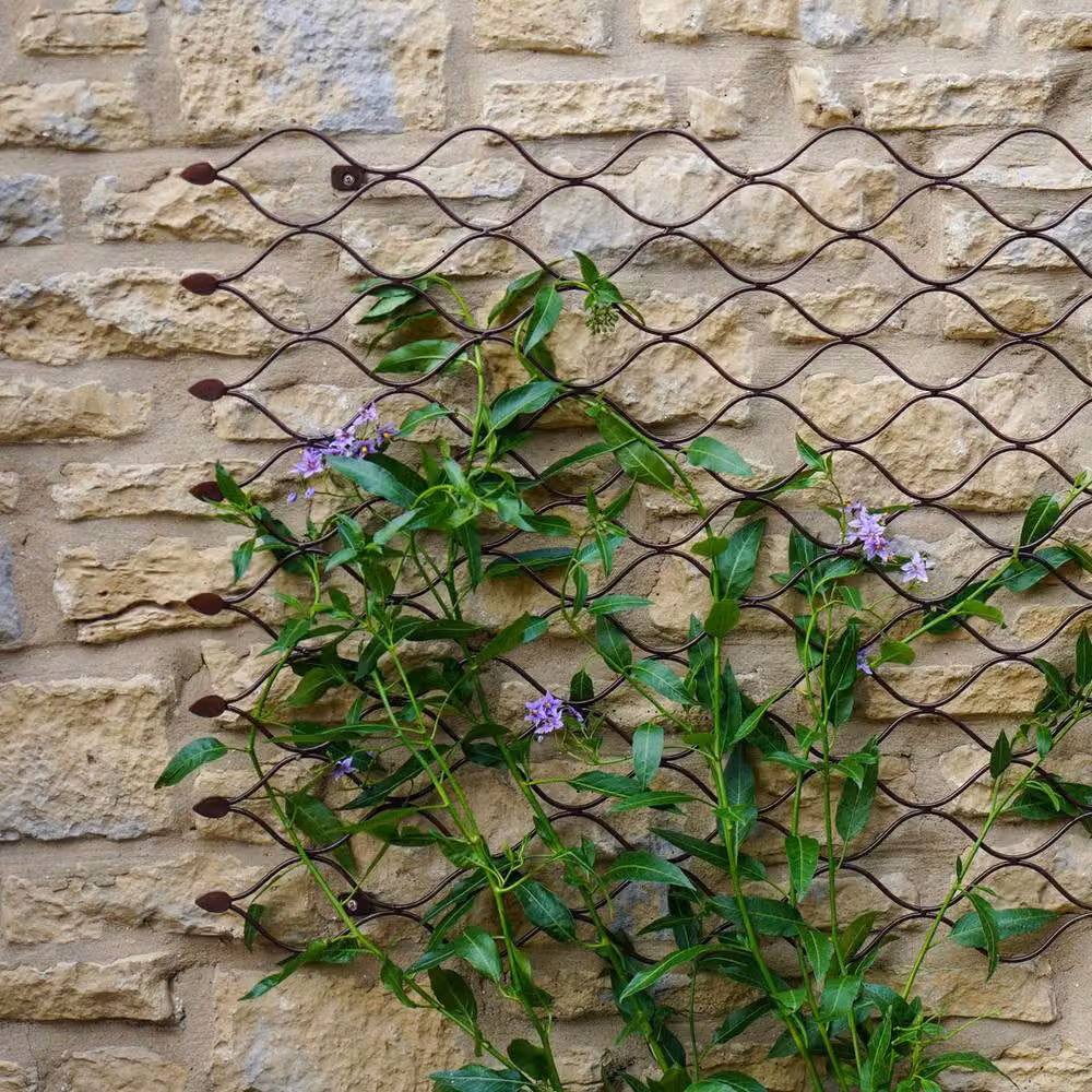Lemon Pavilion Bronze Geometric Honeycomb Steel Outdoor Trellis, W: 78 cm, H: 110 cm – 2