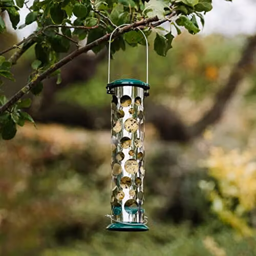 Peckish Large All Weather Metal Energy Suet Fat Ball Bird Feeder, Green – 3
