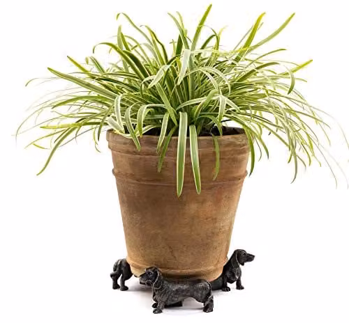 Jardinopia Dachshund Plant Pot Feet Set of 3 in Bronze, L7.5 x W10 x H5.3 cm – 2