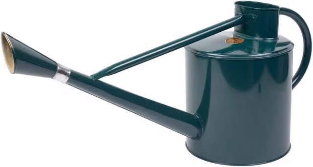Kent & Stowe Classic Long Reach Watering Can, 9 Litre, Green and Multicolour Galvanised Steel