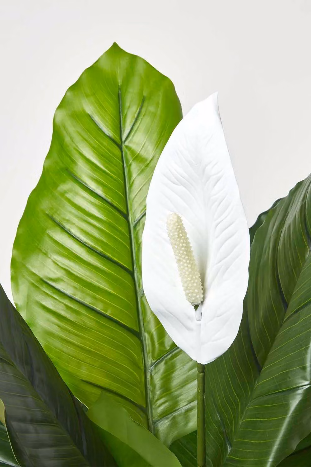 Homescapes Artificial White Peace Lily Plant in Green Pot, Height: 90 cm – 3