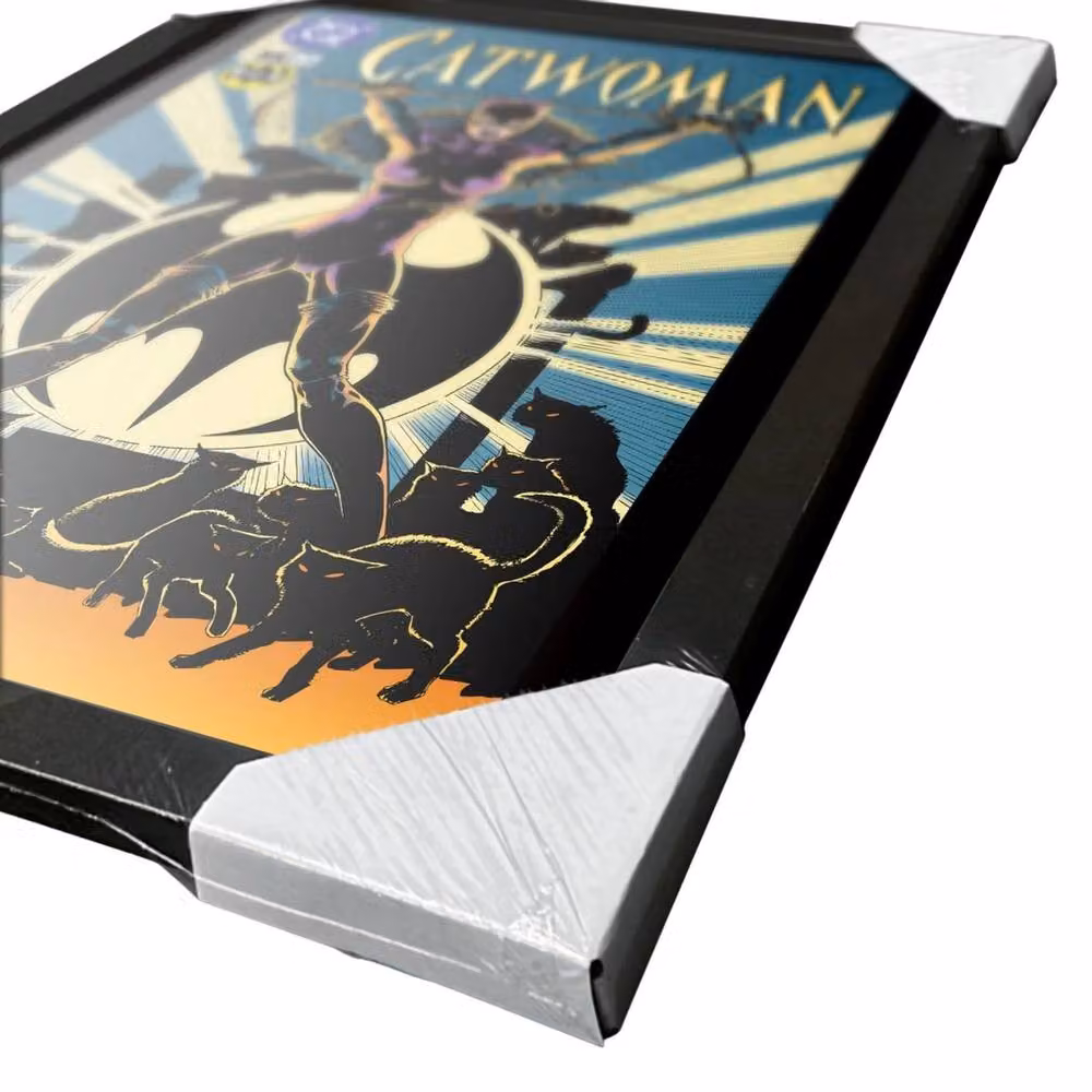 Batman Catwoman Comic Cover Multicolour Paper Poster Illustration – 2
