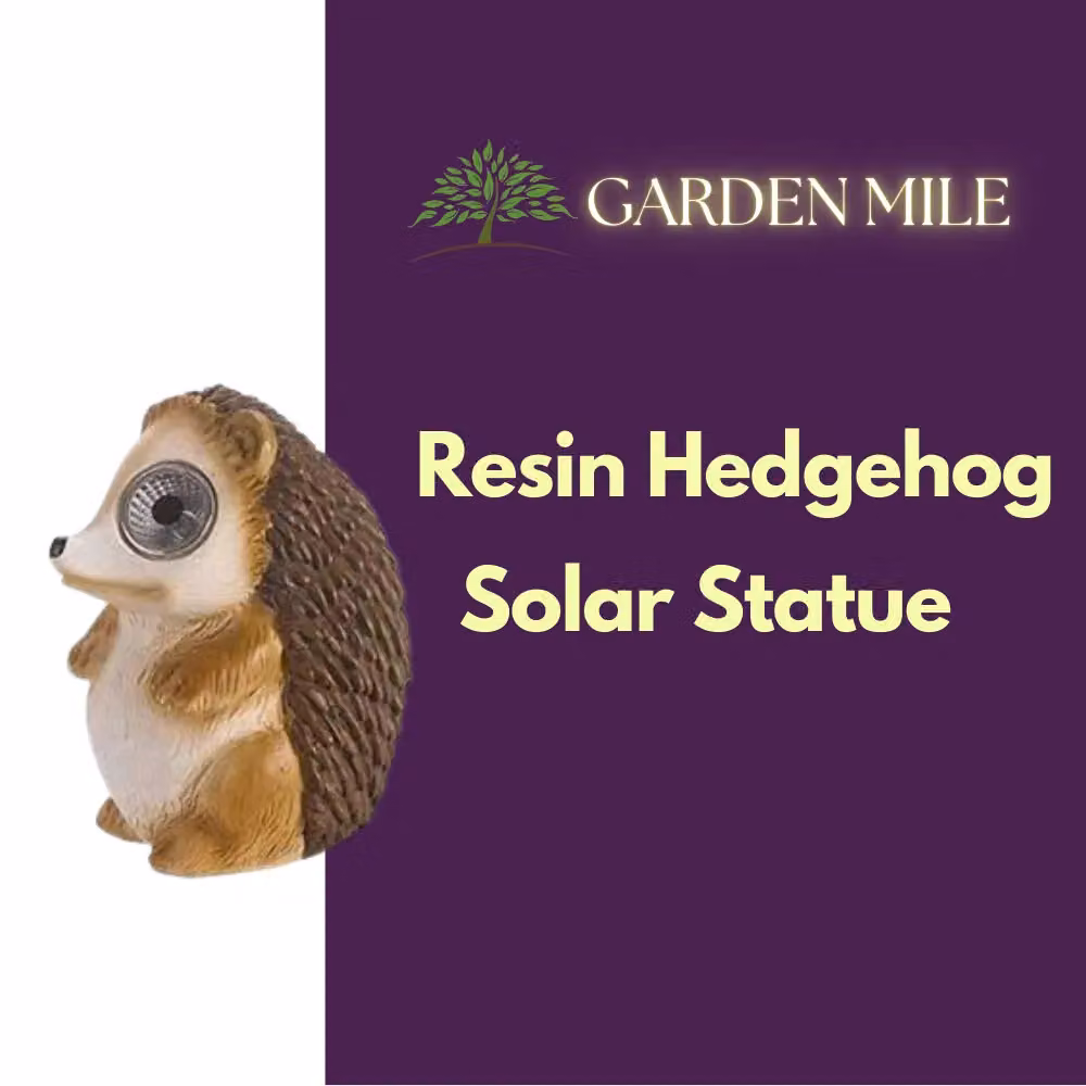 Marco Paul Solar Powered Hedgehog Garden Ornament in Brown and Beige Resin, H 12 cm x W 12 cm x D 9 cm – 3