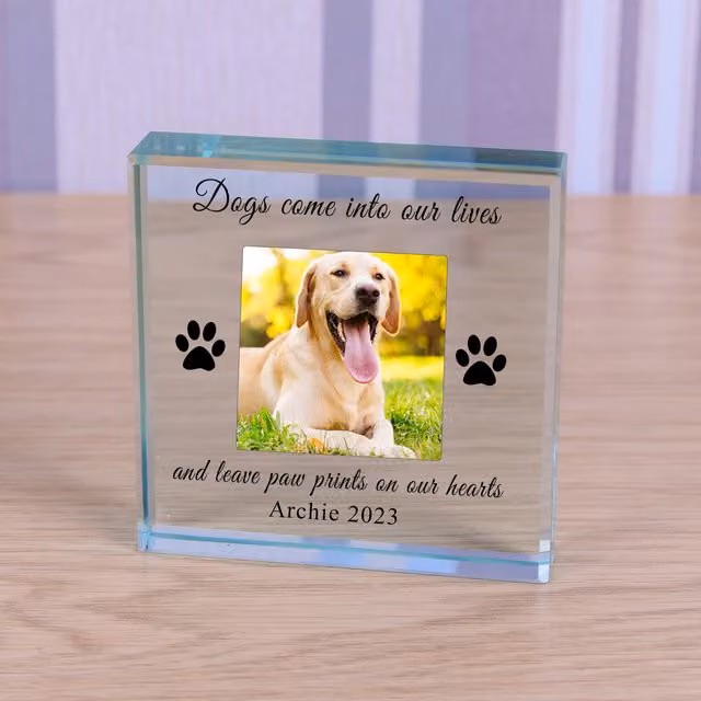 Uniqueful Personalised Dog In Memory Glass Token Sympathy Gift in Transparent and Beige