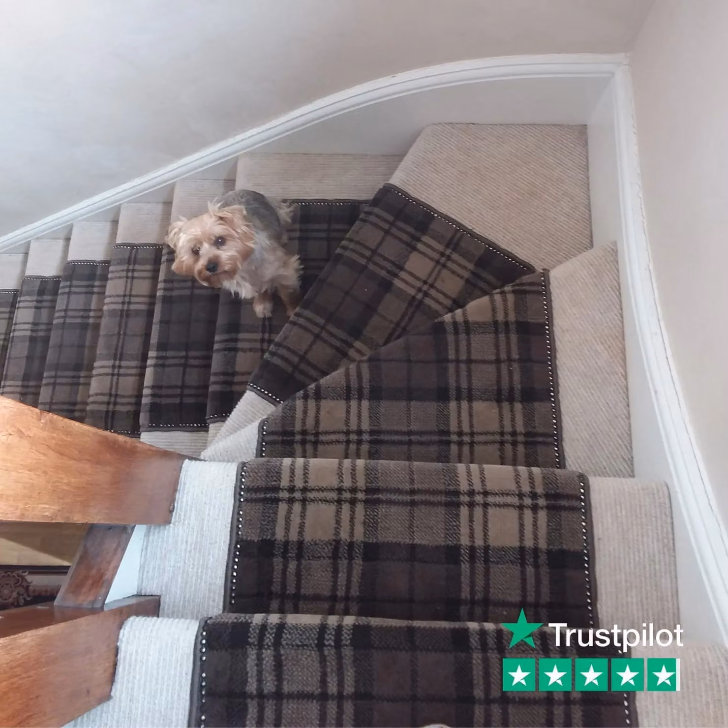 runrug Tartan Stair Runner Carpet in Brown, W: 70 cm x L: 630 cm – 5
