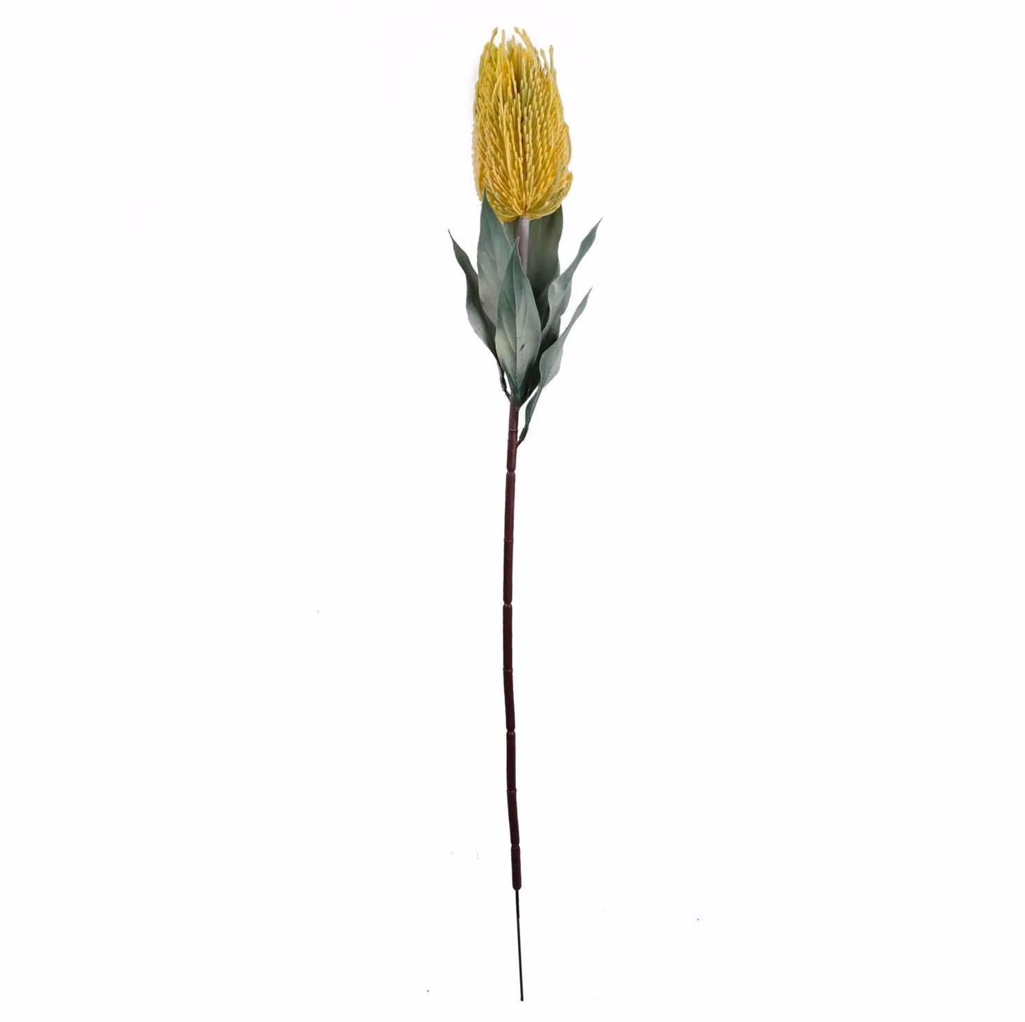 Leaf Design Banksia Menziesii Artificial Yellow Flower Stem, 75 cm – 2