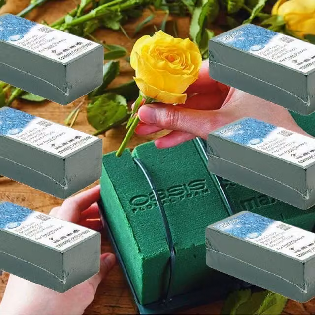 Oasis Floral Products Green Wet Foam Oasis Bricks for Fresh Floral Crafts and Flower Arranging, Pack of 6