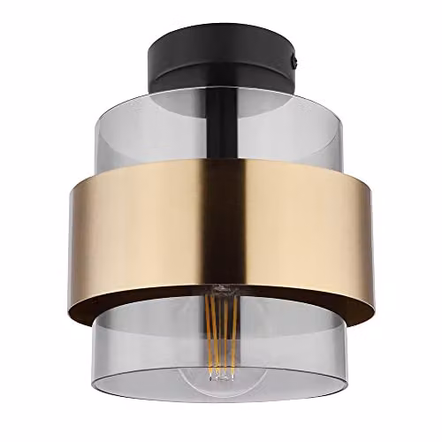 Globo Lighting Milley Small Ceiling Light with Smoke Grey Glass Lampshade and Brass Ring, Diameter: 18 cm – 1