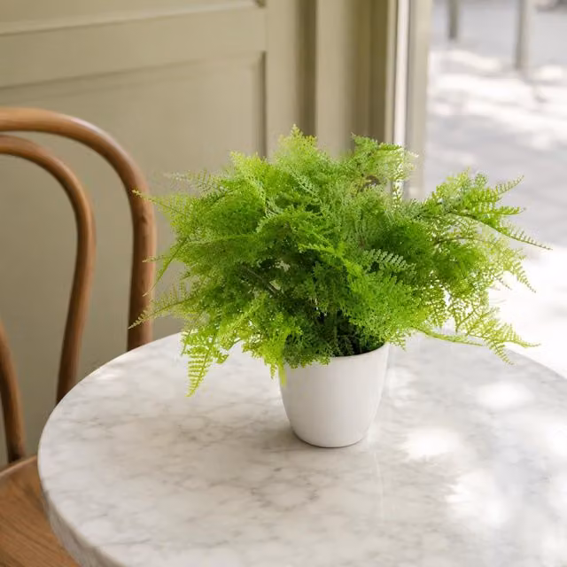 Leaf Design Potted Green Lady Fern Artificial Plant, H 40 cm x W 40 cm x D 30 cm – 4