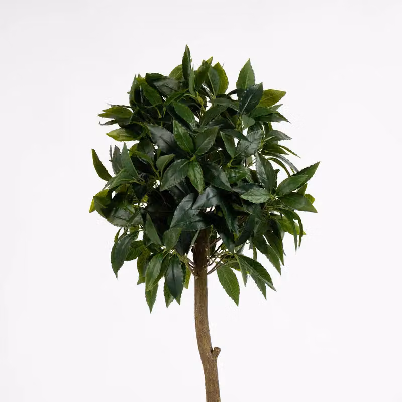 Scottish Everlastings Ltd Set of 2 Green Bay Trees in Black Pots, Height: 90 cm – 2