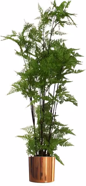Leaf Design UK Extra Large Artificial Fern Foliage Plant with Copper Metal Planter, Green, H 150 cm