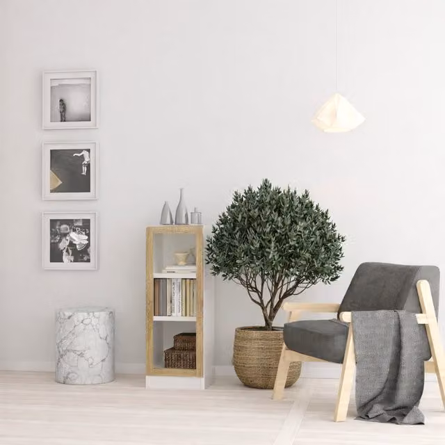 Furniture To Go Basic Low Narrow Display Cabinet with 2 Shelves and Glass Door in White and Oak