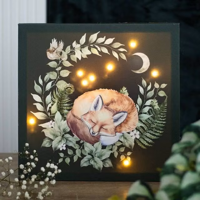 Uniqueful Sleeping Fox Light Up Canvas Plaque in Green – 1