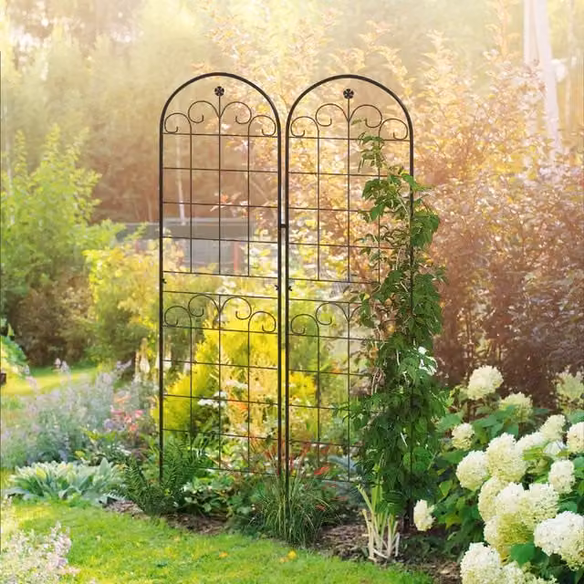 OUTSUNNY Set of 2 Black Metal Trellises for Climbing Plant Support, H 180 cm x W 50 cm – 1