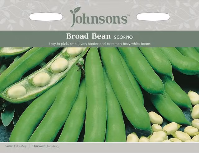 Johnsons Scorpio Broad Bean Vegetable Seeds, White and Green