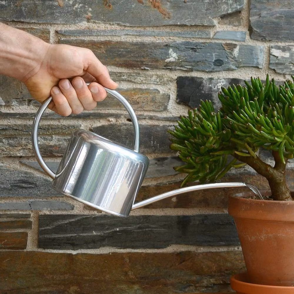 Kelvenix Indoor Watering Can in Silver Galvanised Steel with Short Spout – 2