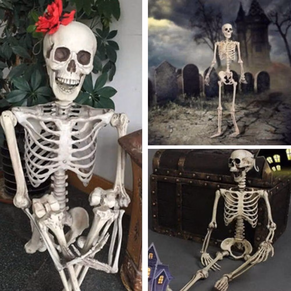 NESTLUNE White Poseable Human Skeleton Halloween Prop, H 100 cm x W 15 cm x D 1 cm – 4