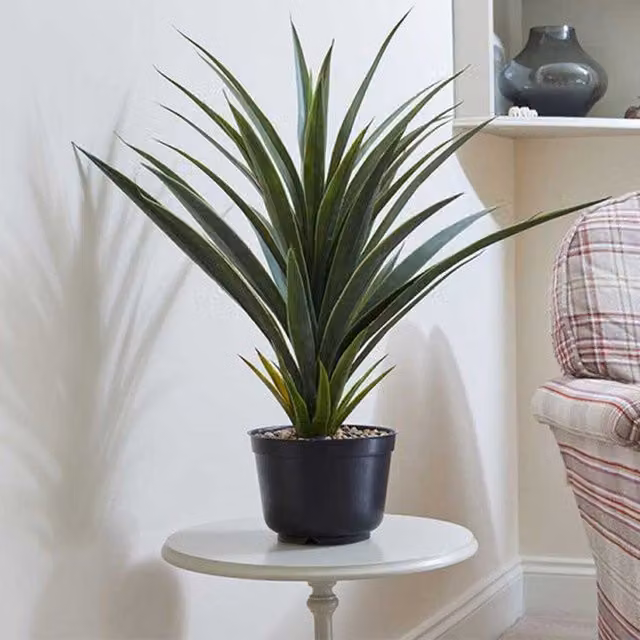 Smart Garden Spikey Sisal Artificial Potted House Plant in Green and Black