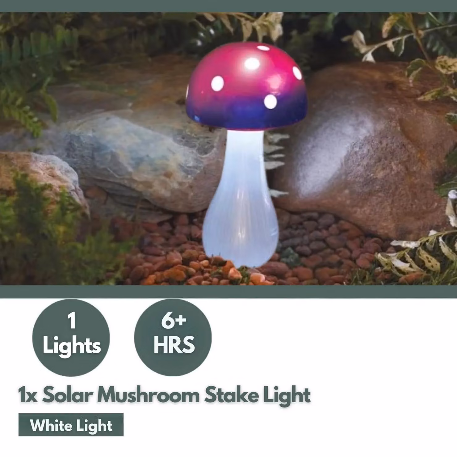 Marco Paul Solar Mushroom Garden Ornament with Dusk Sensor in Purple and Multicolour – 4