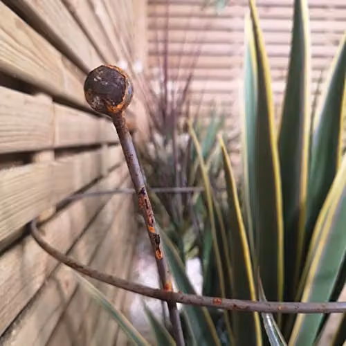 Samuel Alexander Set of 2 Steel Garden Plant Supports in Silver and Brown, W/H: 40 x 54 cm – 3