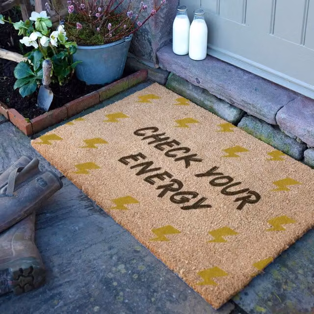 Artsy Mats Check Your Energy Doormat in Brown, W/D: 90 x 60 cm