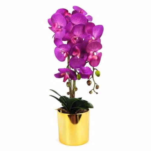 Leaf Design UK Realistic Artificial Orchid Flower Display in Gold and Purple Pot – 1