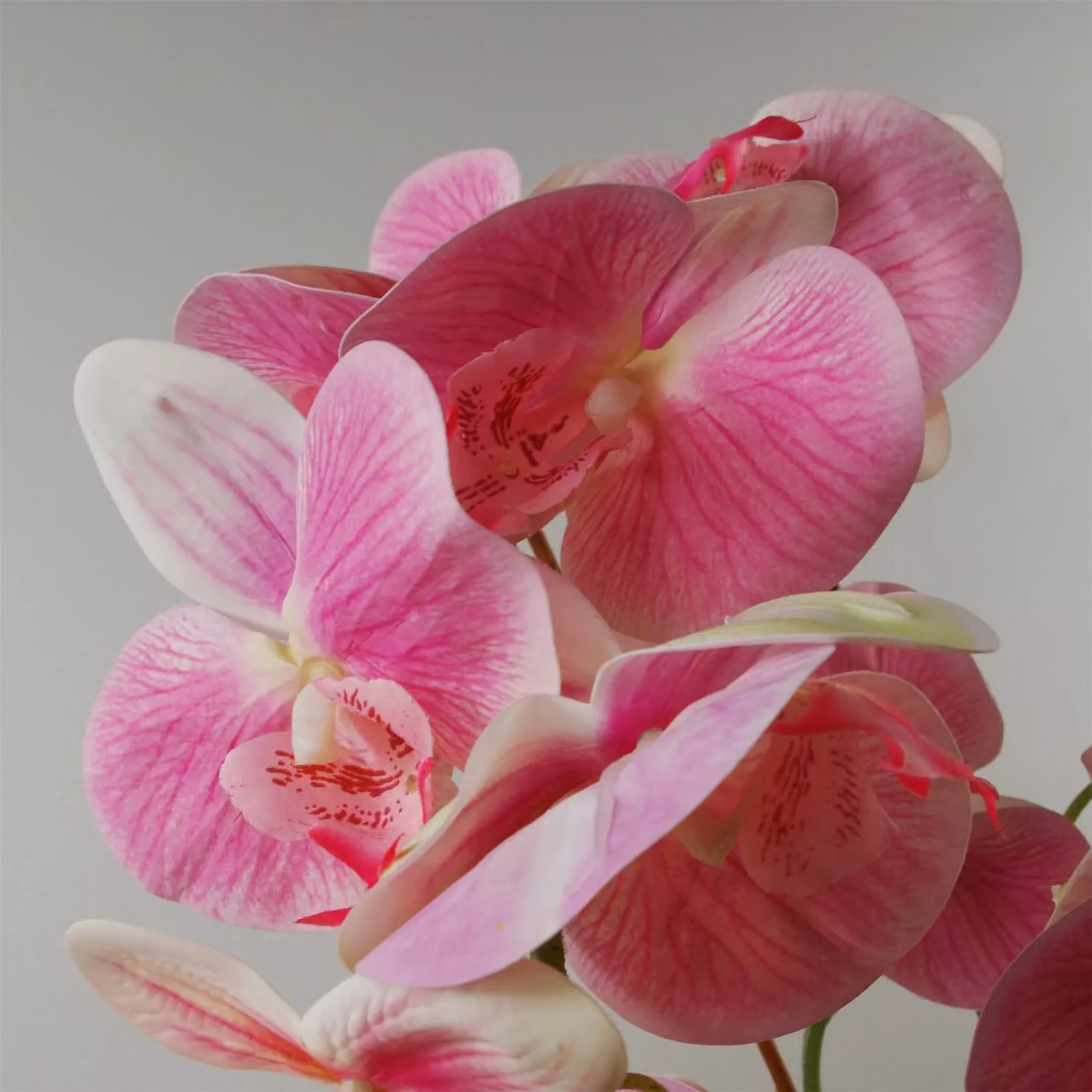 Leaf 70cm Artificial Pink Orchid in a Black Ceramic Planter – 4