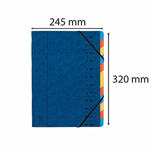 Exacompta Stapled Spine Multipart File for A4 Documents with 12 Multicoloured Tabs, Blue – 2