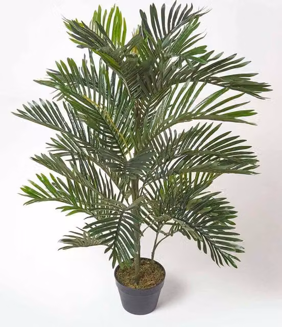 Homescapes Green Multi Stem Palm Tree in Pot, Height: 120 cm – 1