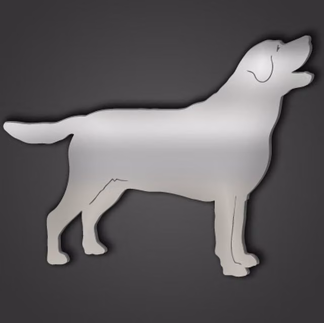 Labrador Retriever Style 2 Silver Acrylic Mirror in Silver