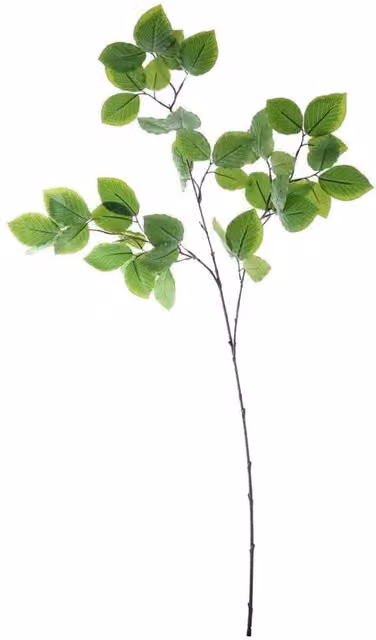 KDMD Green Beech Spray, 2 Pack, Height: 97 cm