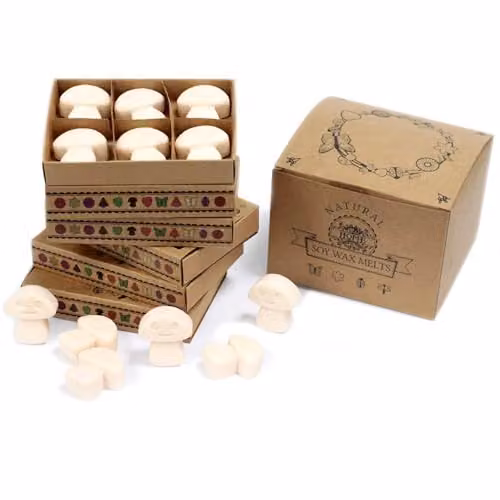 Ancient Wisdom Vanilla Nutmeg Wax Melts, Box of 6, White