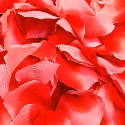 Shatchi Red Silk Rose Petal Confetti for Wedding, Anniversary and Mother's Day Table Decorations, 1200 Pieces – 4