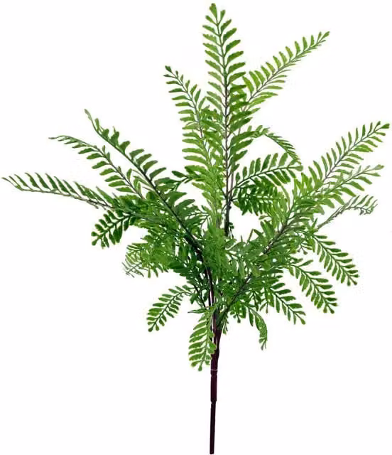Leaf Design UK Himalayan Maidenhair Fern Bush, Light Green, 55 cm