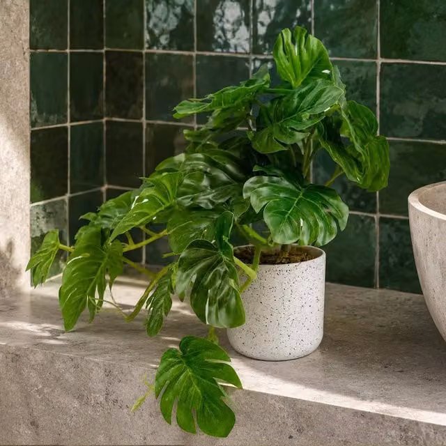 Botanik Artificial Green Potted Monstera Tabletop Plant, Height: 30 cm