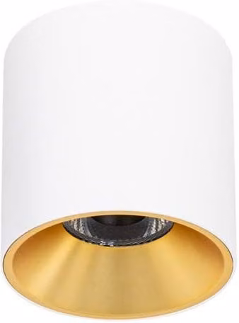 Netlighting Altisma Surface Mounted LED Downlight, Matt White and Gold, 3000K Warm White – 1
