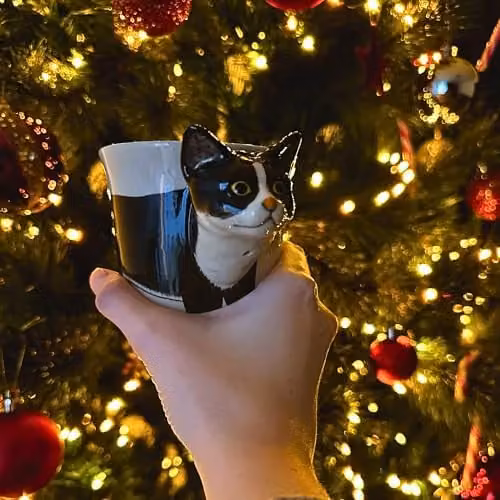 Handmade Ceramic Black Cat Design Mug in Black and White with 3D Cat Handle – 6